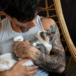 котячий будинок