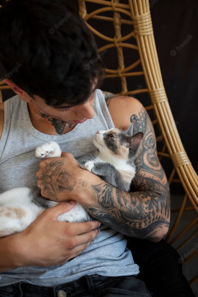 котячий будинок