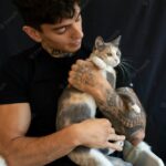 котячий будинок