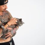 котячий будинок