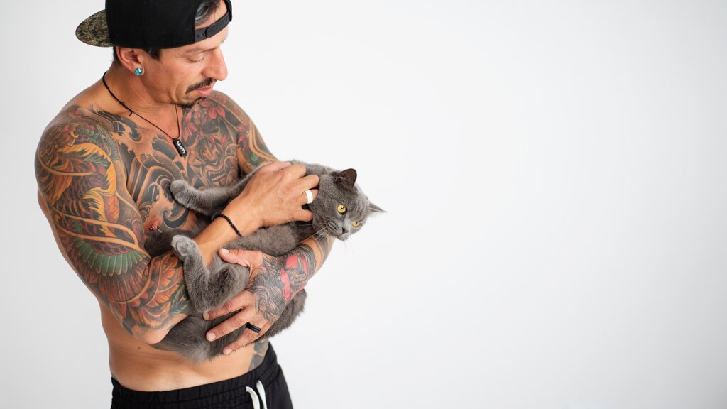 котячий будинок