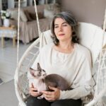 коти домашня тварина