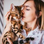котячий будинок