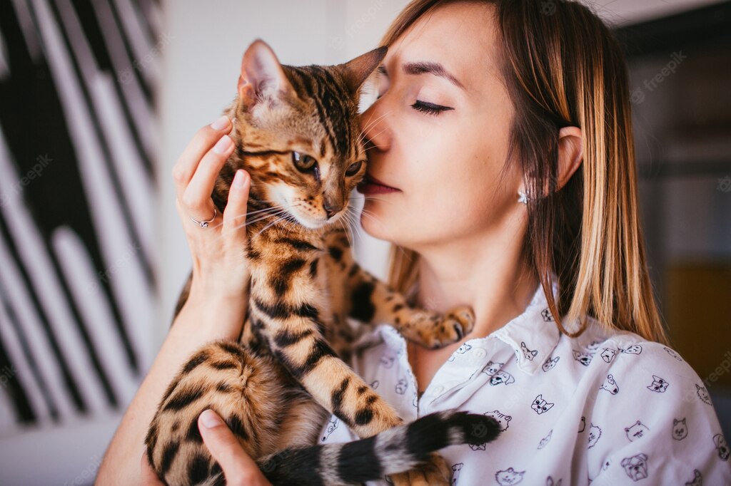 котячий будинок