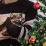 різдвяний подарунок