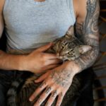 котячий будинок