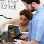 ветеринарна медицина