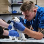 лікарня для тварин