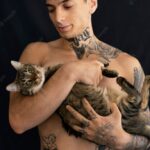 котячий будинок