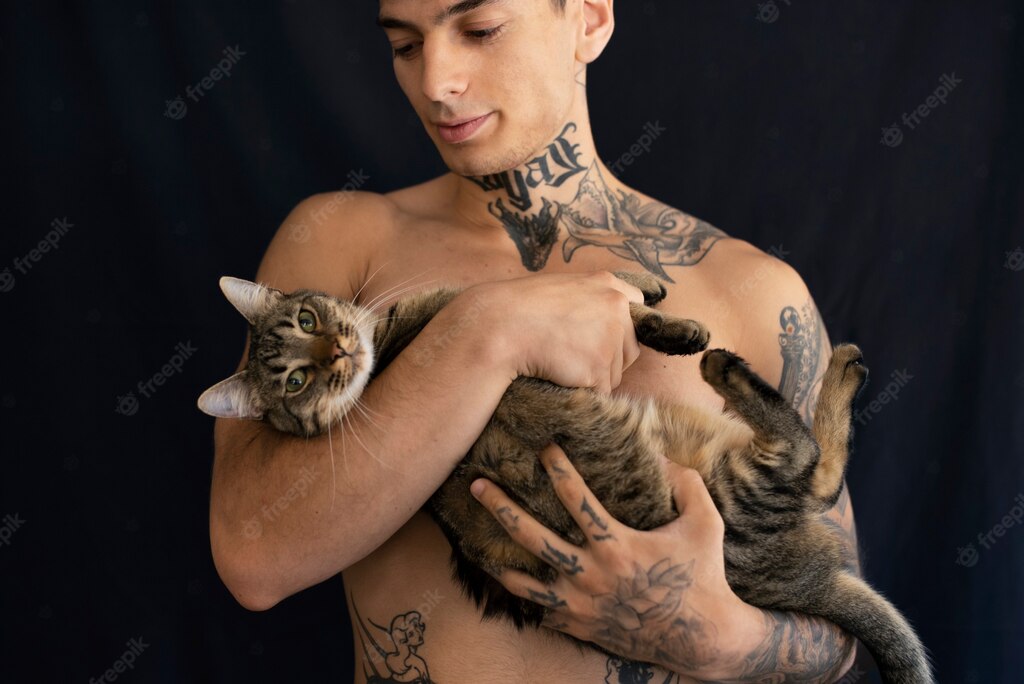 котячий будинок