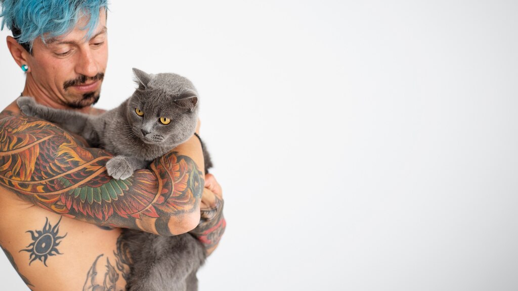 котячий будинок