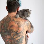 котячий будинок