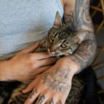 котячий будинок