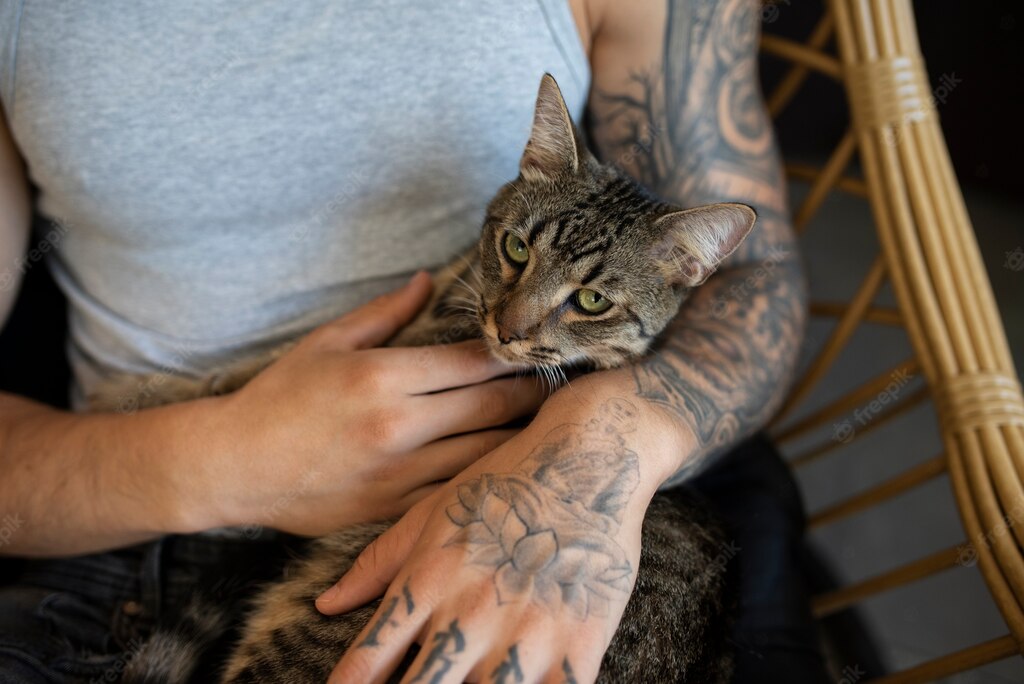 котячий будинок