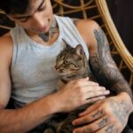 котячий будинок