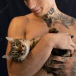 котячий будинок