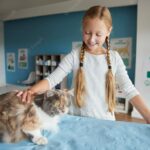 клініка для тварин