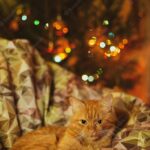 інтер'єр вітальні