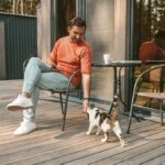 коти улюбленець