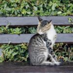 вид на море