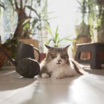 садівництво