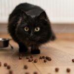 брудний будинок