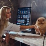 персидська кішка