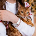 жінка дівчина