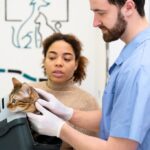 ветеринарна медицина