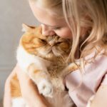 коти домашня тварина