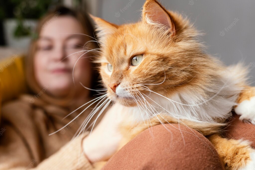 власник тварини