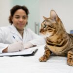 ветеринарна медицина