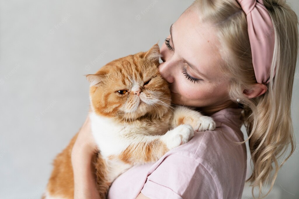 коти домашня тварина