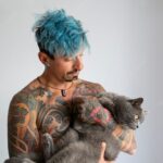 котячий будинок