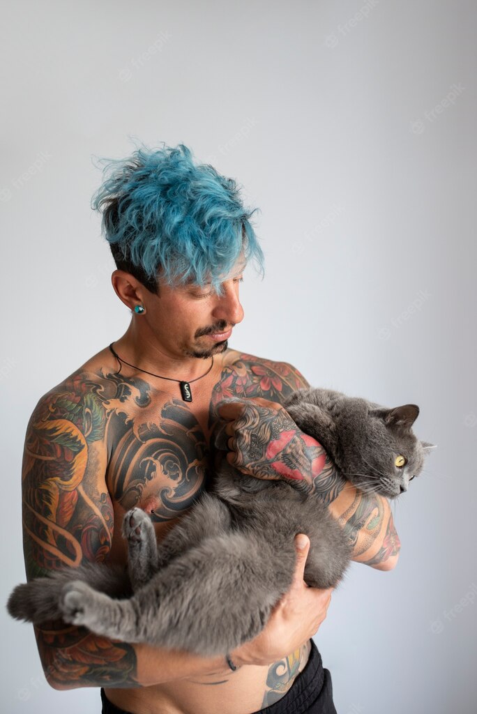 котячий будинок