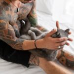 котячий будинок