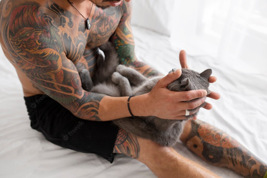 котячий будинок