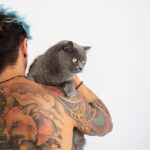 котячий будинок