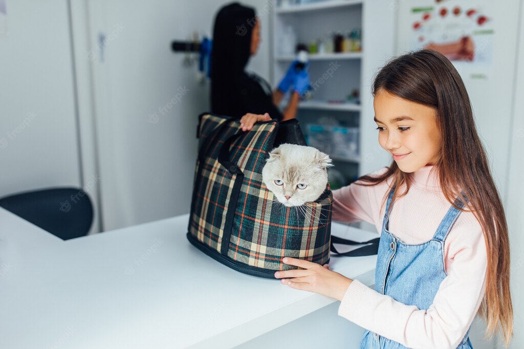 лікарня для тварин