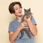 коти улюбленець