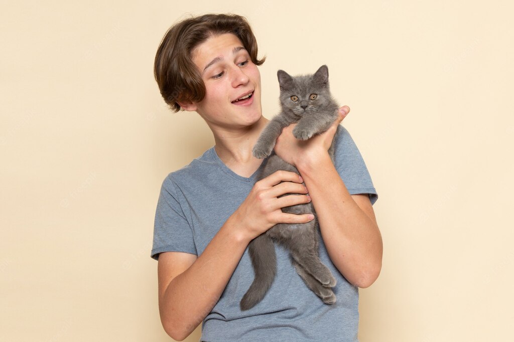 коти улюбленець