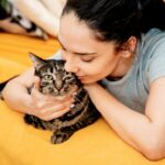 котячий будинок