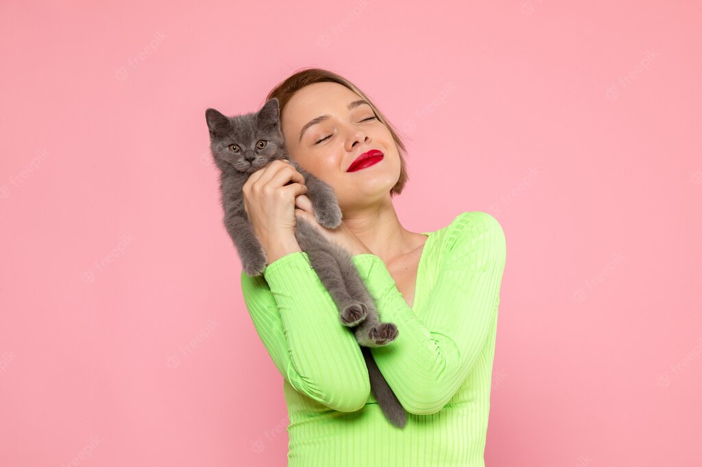 проведення