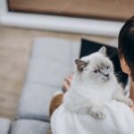 використання ноутбука