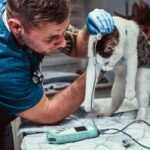 ветеринарна медицина