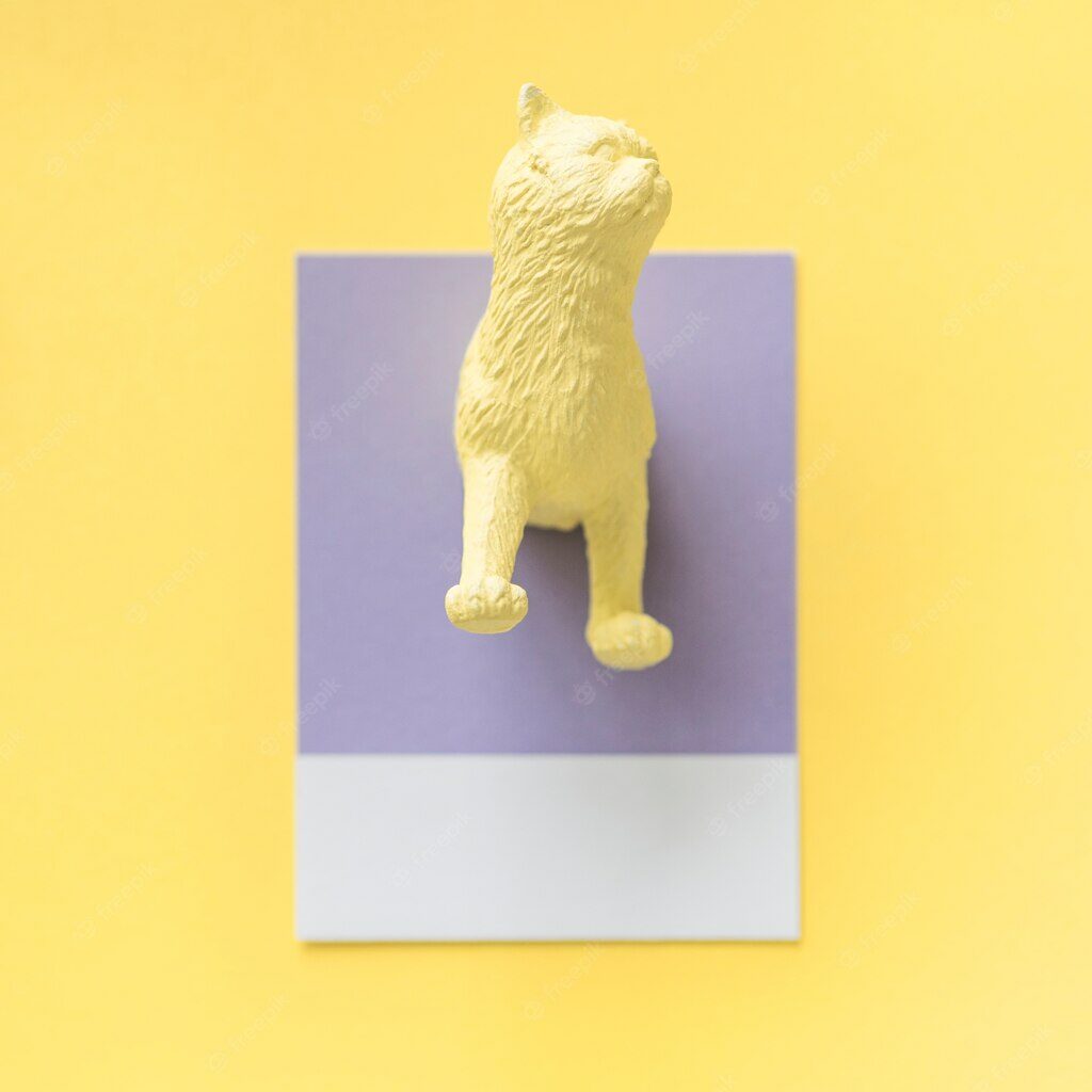 рожево-фіолетовий