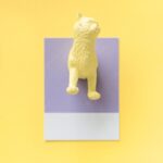 рожево-фіолетовий