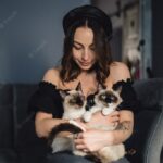 котячий будинок