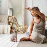 коти улюбленець