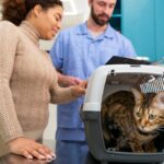 ветеринарна медицина